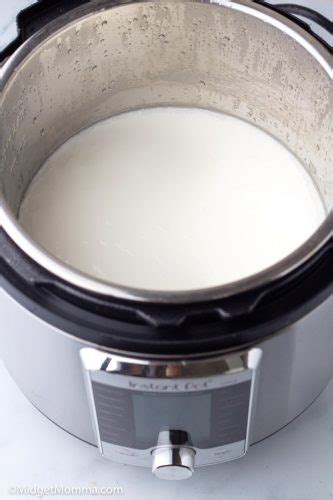 How to Make Instant Pot Yogurt (Easy Homemade Yogurt) • MidgetMomma