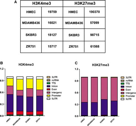 Comparison Of Genome Wide H3k4me3 And H3k27me3 Distributions In