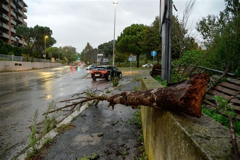 Scuole Chiuse Roma Oggi Ottobre Allerta Meteo Comune