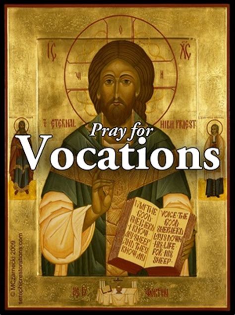 You Go Into the Vineyard Too! Every Christian Has a Vocation - Vocation ...