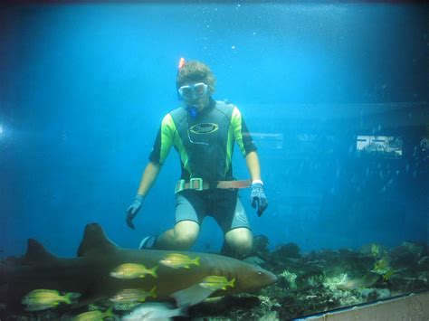 Curaçao Arts & Culture 2025 - GayCities Curaçao