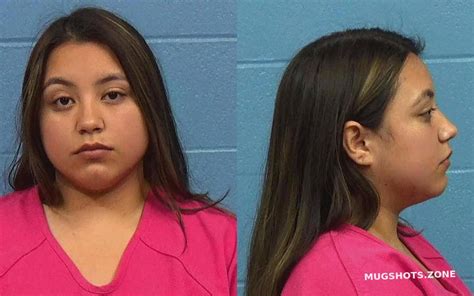 Hernandez Angelica 02 12 2023 Williamson County Mugshots Zone