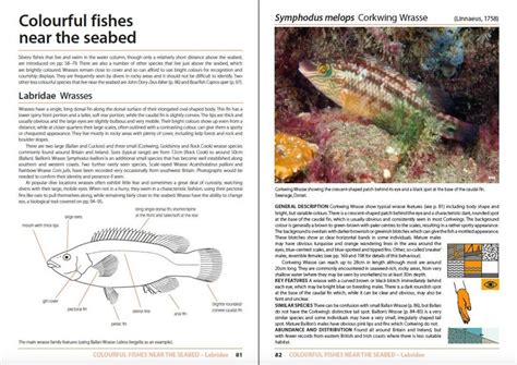 Inshore Fishes Of Britain And Ireland NHBS Field Guides Natural History