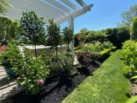 Create Your Dream Garden with Monrovia’s New Ultimate Spring Planning