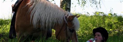 Trotz Hitze Einen K Hlen Kopf Bewahren Tierwelt Ch Tierwelt