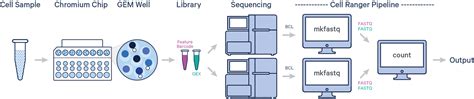 What is Cell Ranger? -Software -Single Cell Gene Expression -Official ...