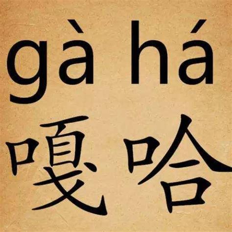 清朝統治中國近300年，為什麼滿語沒有普及開來？ 每日頭條