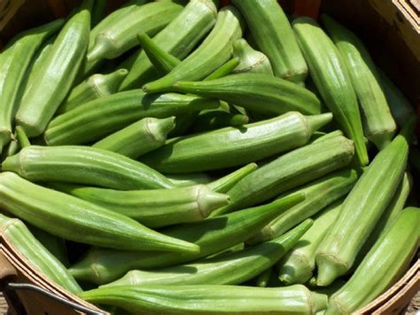 Okra | Sakata