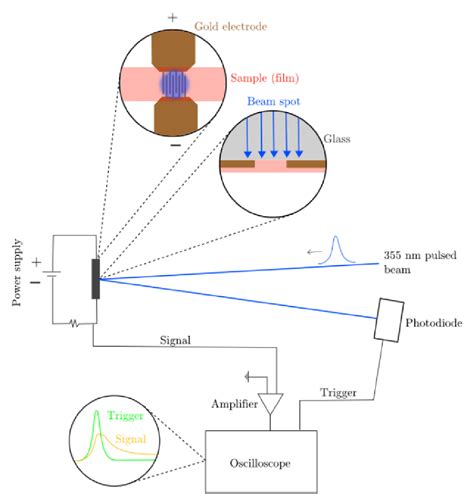 Figure 3 From Exploration Of Charge Transfer Exciton Formation In