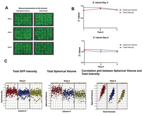 High Throughput Screening Platforms Incorporating Physiologically Relevant 3 D Models Drug