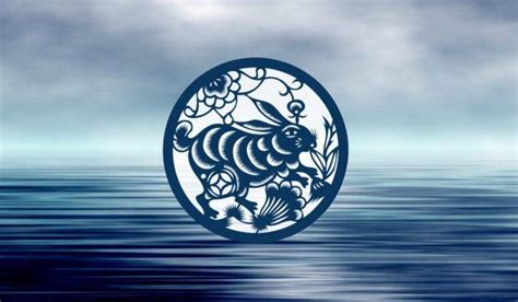 Key Traits Of The Water Rabbit Chinese Zodiac Sign