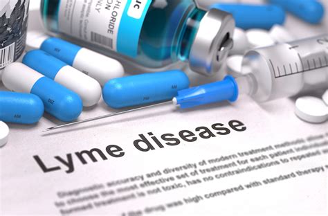 All About Chronic Lyme And Potential Treatments Selfdecode Health