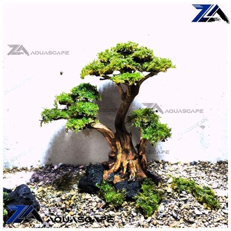 Bonsai Aquarium Pohon Bonsai Aquascape Lazada Indonesia