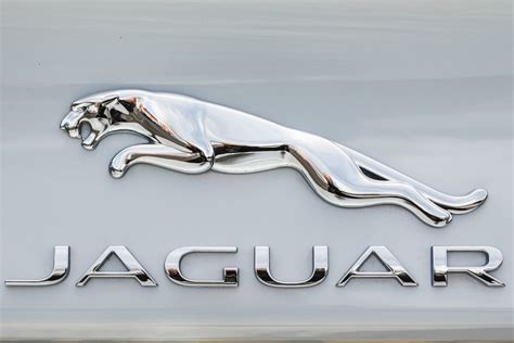 Jaguar Emblem in Metal Poster - Etsy