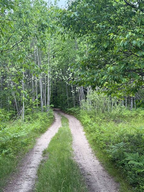 E-bikes will soon be allowed on the north trail 11