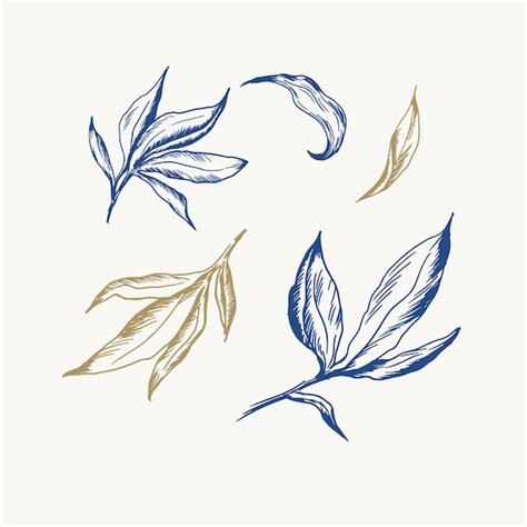 Premium Vector Set With Hand Draw Vintage Engraving Leaves Botanical