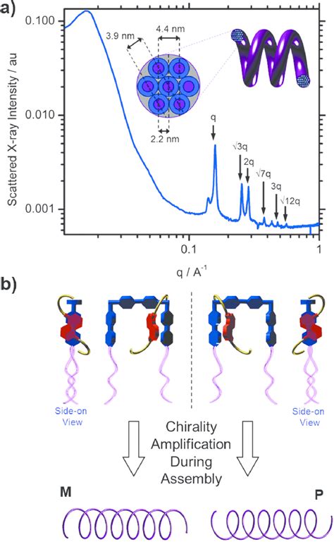 A Synchrotron SAXS Diffraction Pattern Obtained From A Sample Of