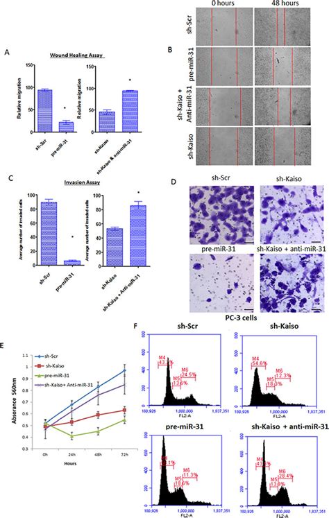 Kaiso A Transcriptional Repressor Promotes Cell Migration And