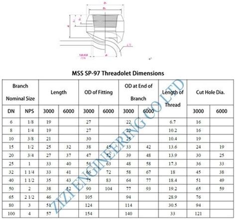 1 Npt Threaded Steel Pipe Fittings Astm A182 F5 Branch Outlet Fitting