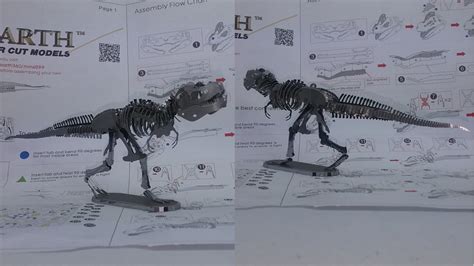 Metal Earth Build Tyrannosaurus Rex Youtube