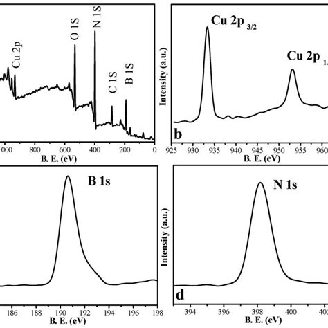 (a) XPS survey spectra of Cu (5%)-BN, high-resolution XPS spectra of ...