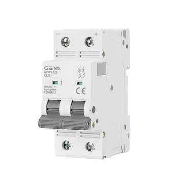 DC MCB 80A 100A 125A 6KA 2P 500VDC Mini Interruttore Automatico Din