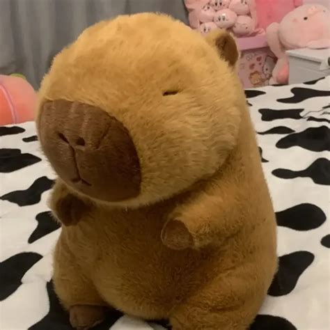 Capivara Pel Cia Kawaii Comprar Em Art House