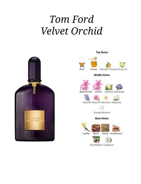 Tom Ford Velvet Orchid Woman Perfume Best Scents Floral Fragrance Artofit