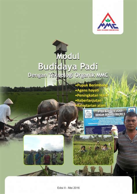 Modul Budidaya Padi Oriza Sativa Agrokompleks Kita