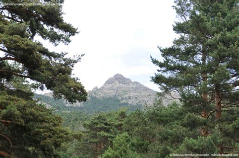 Foto Parque Regional De La Cuenca Alta Del Manzanares 32