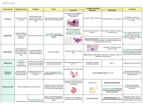 Cuadro Comparativo Anemias Udocz The Best Porn Website