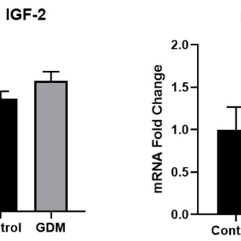 Changes In Mrna Levels Of Genes Related To Insulin Signaling In