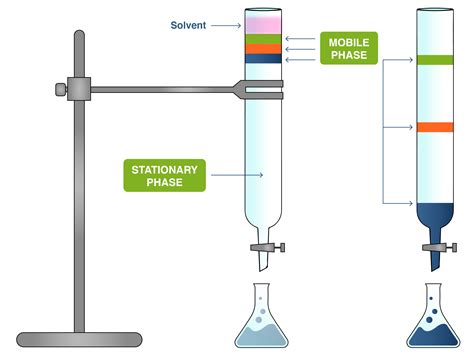 How Does Chromatography Work Biology At Timothy Abell Blog