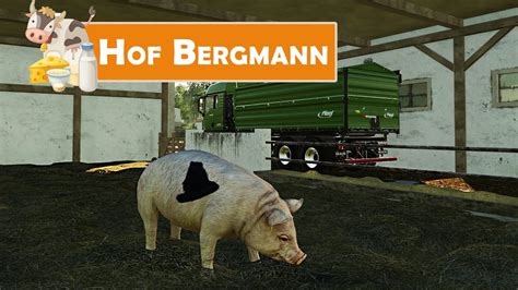 LS19 HOF BERGMANN 202 Frisches Stroh und Wasser für Tiere