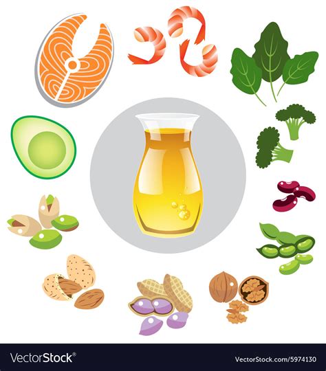 Best Sources Of Omega 3 Royalty Free Vector Image