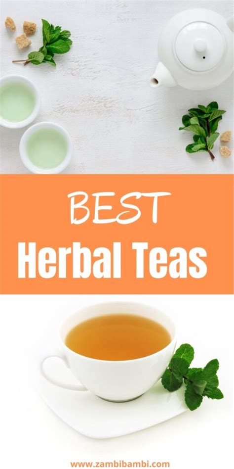 The 5 Best Herbal Teas for Stress & Anxiety - Zambi Bambi