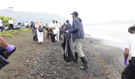 Pt Vale Igp Morowali Tanam Pohon Mangrove Dan Bersihkan Pesisir