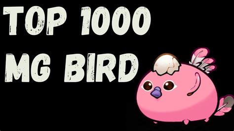 TOP 1000 MACHINE GUN BIRD AXIE ORIGIN SEASON 0 META YouTube