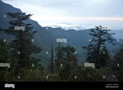 Emei shan hiking hi-res stock photography and images - Alamy