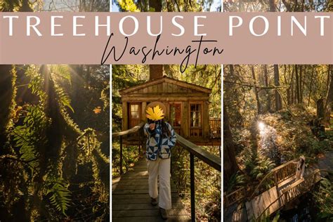 2024 Guide to TreeHouse Point Washington: How to Dream Big at a Forest Retreat - Your ...