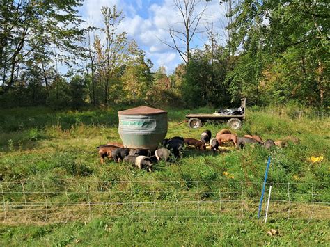 Porkshire Farms | High Quality, Naturally Raised Pork | Bulk Pork