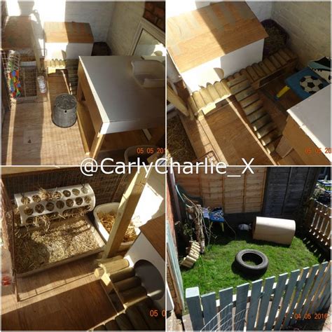 Bunny Shed And Garden Setup Complete Bunny Sheds Rabbit Shed Pet