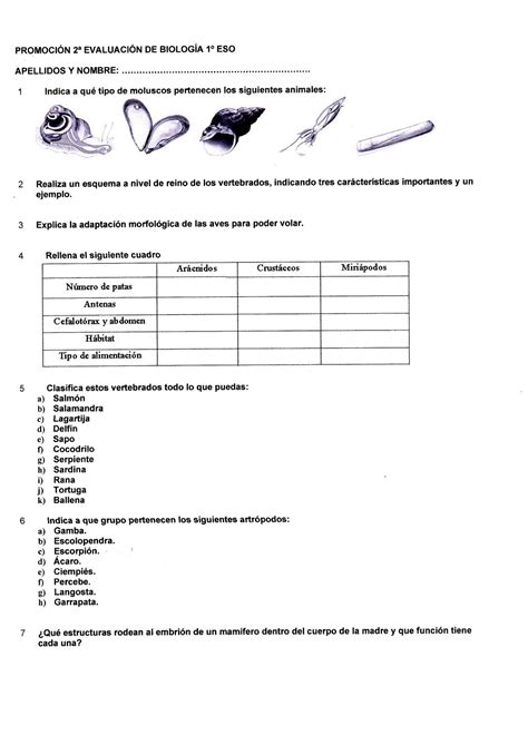 Rosa Mirasierra Examen De PromociÓn 1 2 Y 3ª EvaluaciÓn De BiologÍa 1º Eso