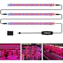 Pitaya And Plant Use Red And Blue Led Tube Lighting Type Degree T