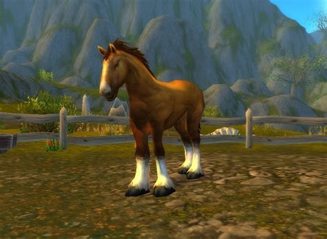 Arathi Horse Npc World Of Warcraft