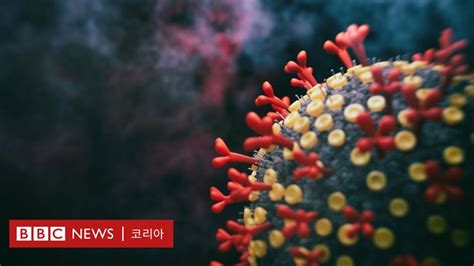 코로나19 스텔스 오미크론은 우려할 만한 것일까 Bbc News 코리아