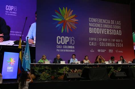 Il Ministero DellAmbiente Ha Iniziato I Lavori Alla Cop16 Sulla