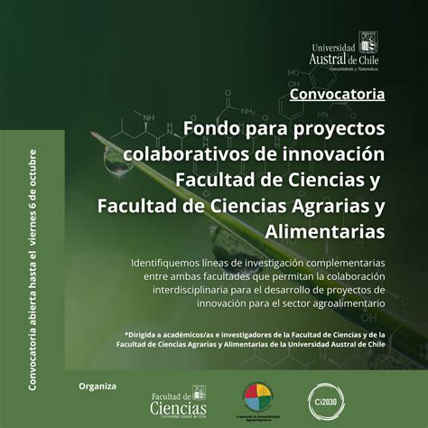 Ci2030 Invita A Postular A Fondo Para Proyectos Colaborativos De