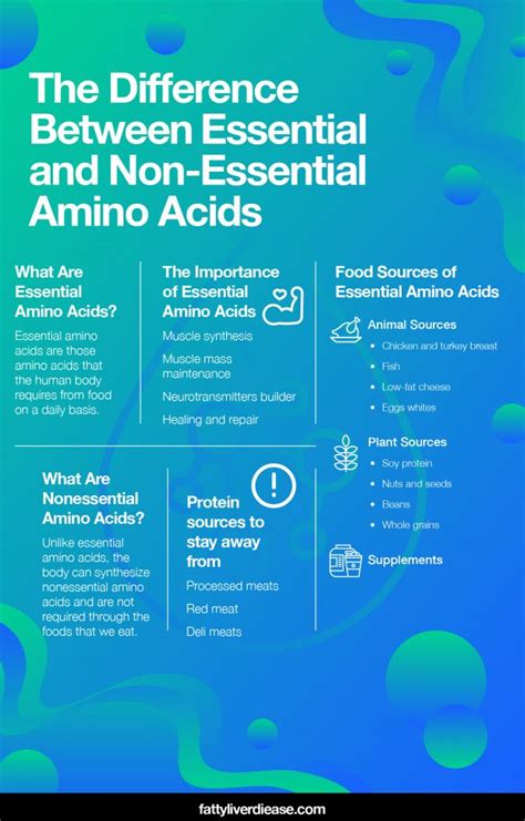 Difference Between Essential and Non Essential Amino Acids | Faty Liver ...