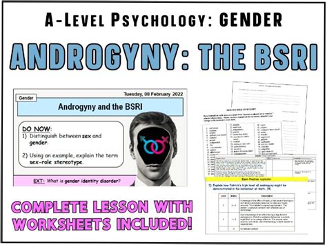 A Level Psychology Androgyny And The Bsri With 8 Mark Exam Question